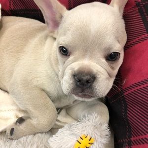 Meet your Posher, Arlene